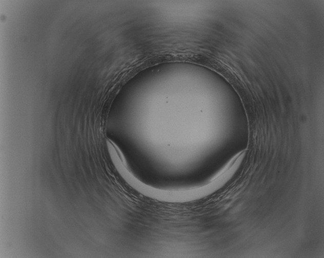 X0000089671298200707121214