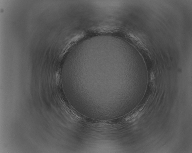 X0000089671300200707121214