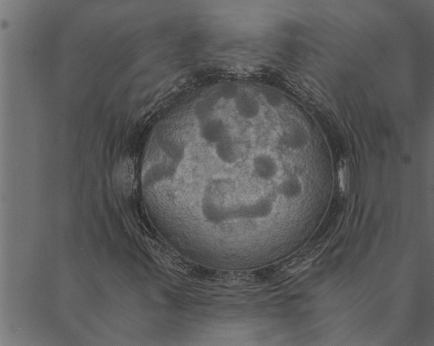 X0000089671347200707121213