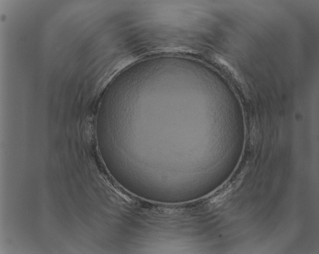 X0000089671361200707121213