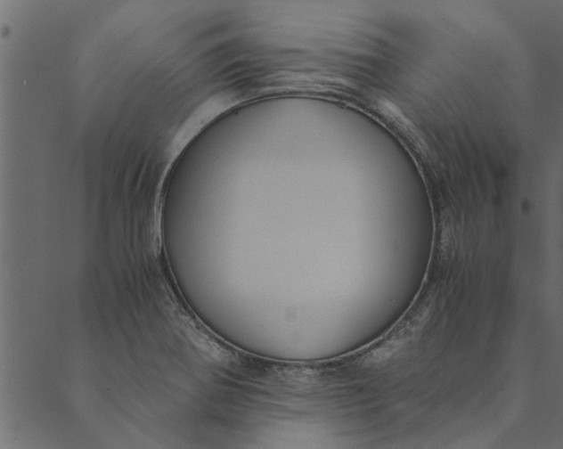 X0000089671370200707121213
