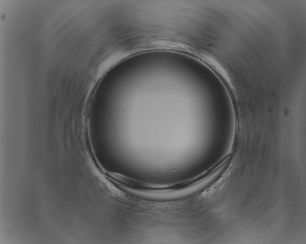 X0000089671381200707121213