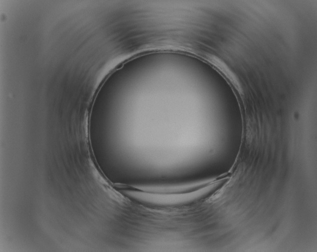 X0000089671388200707121213