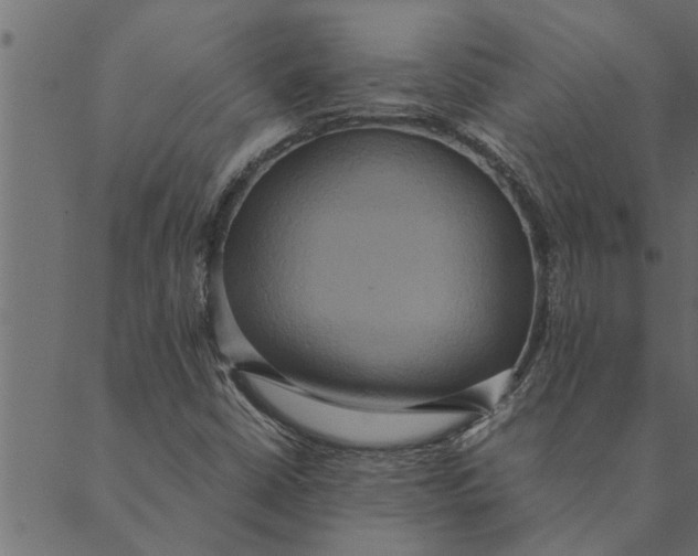 X0000089671402200707121212