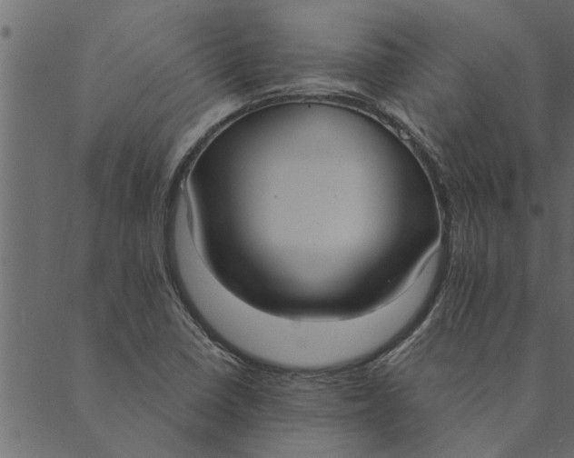 X0000089671410200707121212