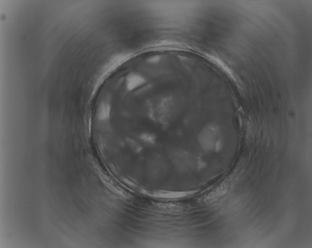 X0000089671413200707121212