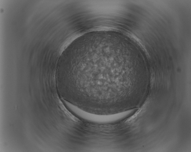 X0000089671417200707121212
