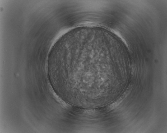 X0000089671421200707121212