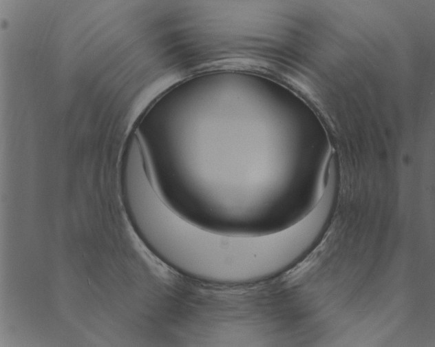 X0000089671426200707121213