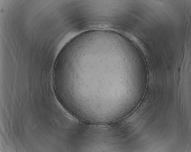 X0000089671432200707121213