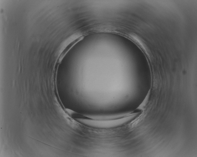 X0000089671434200707121213