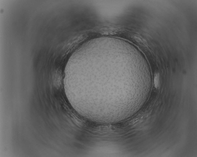 X0000089671444200707121212