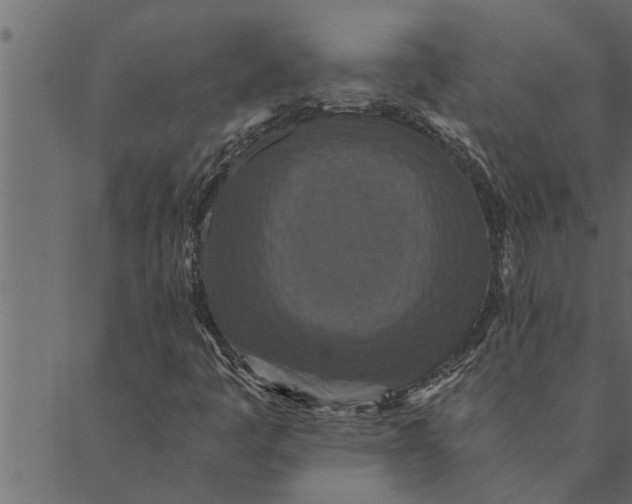 X0000089671445200707121212