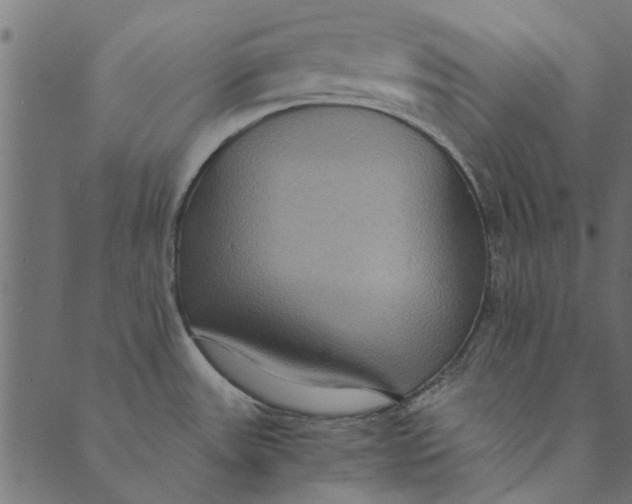 X0000089671531200707121211
