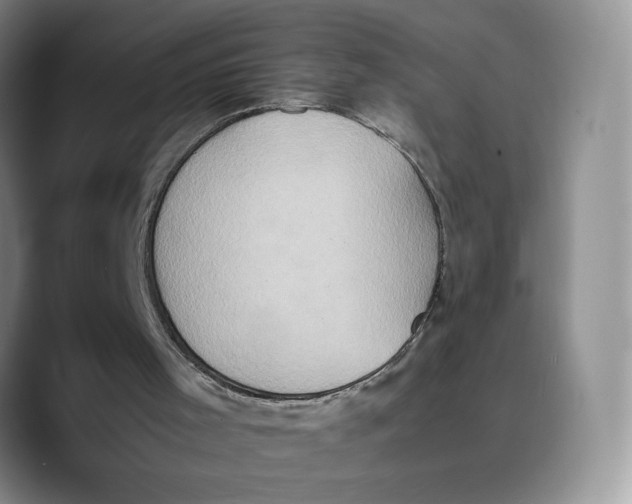 X0000089670001200707201649