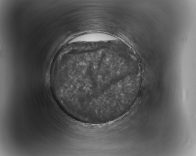 X0000089670002200707201649