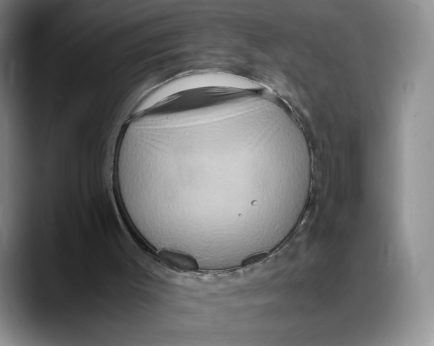 X0000089670003200707201649