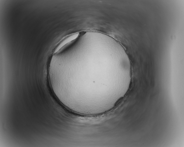 X0000089670005200707201649
