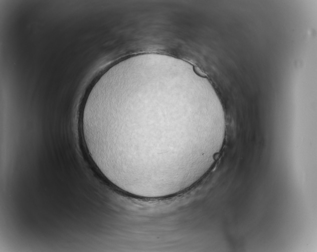 X0000089670006200707201649