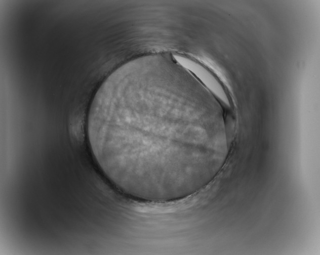 X0000089670009200707201649