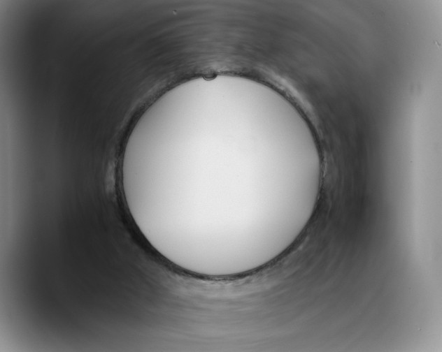 X0000089670010200707201649
