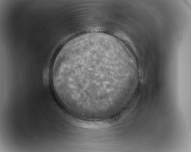 X0000089670012200707201649