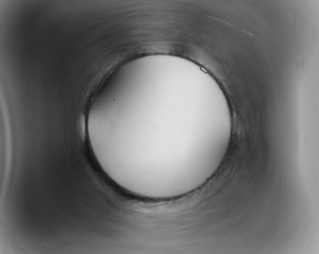 X0000089670013200707201649