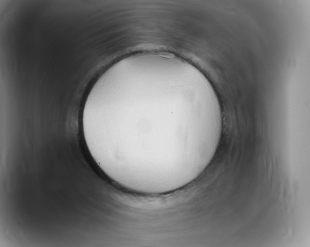 X0000089670015200707201649