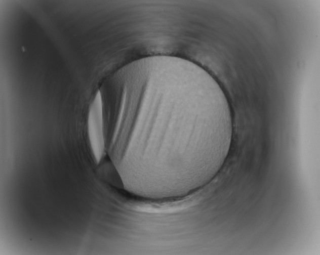 X0000089670017200707201648