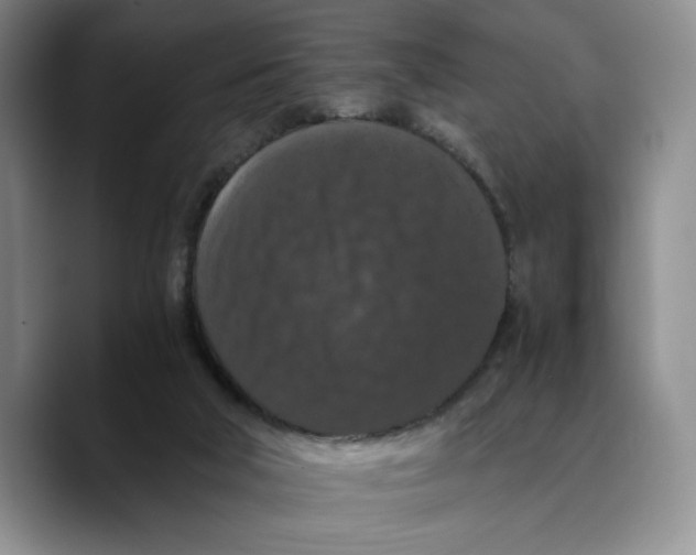 X0000089670018200707201648