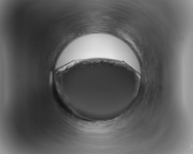 X0000089670019200707201648