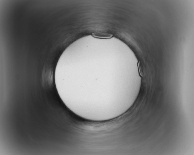 X0000089670021200707201648
