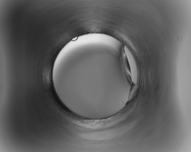 X0000089670023200707201648