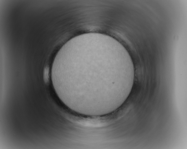 X0000089670024200707201648