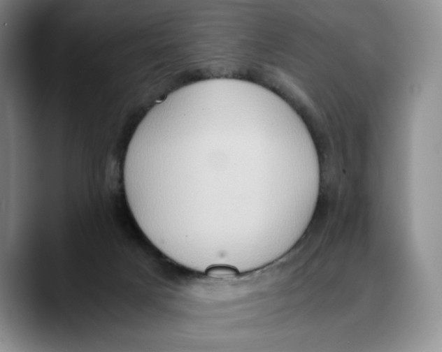 X0000089670025200707201648