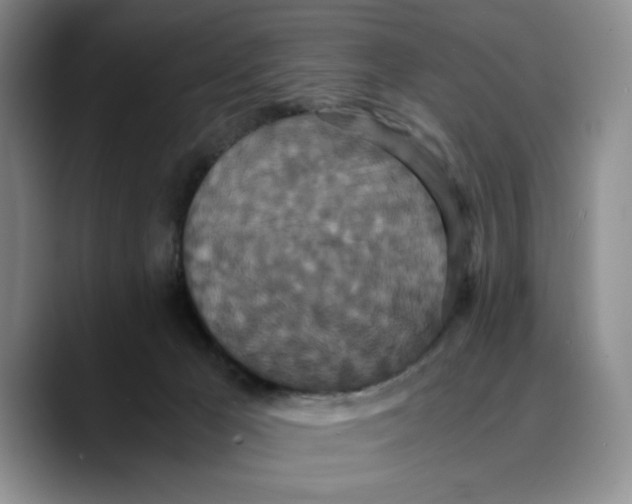 X0000089670029200707201648