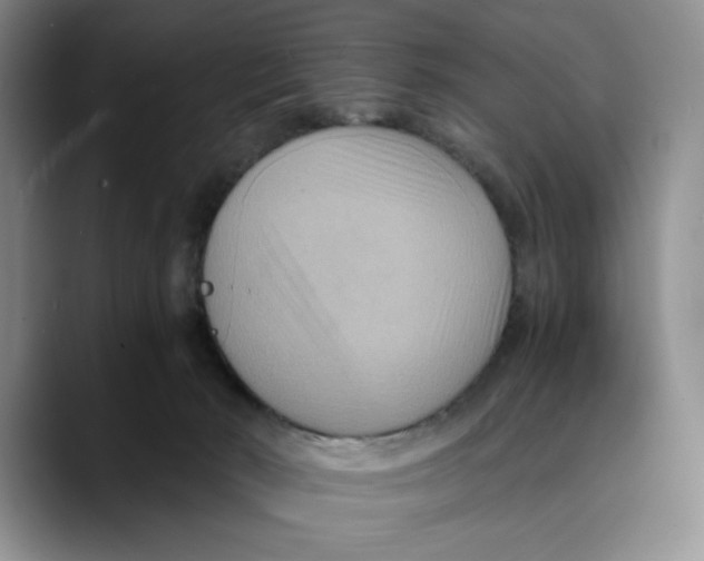 X0000089670030200707201648