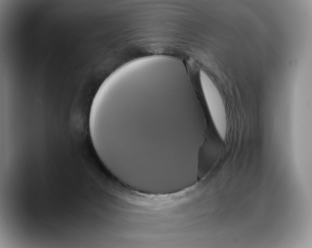 X0000089670031200707201648