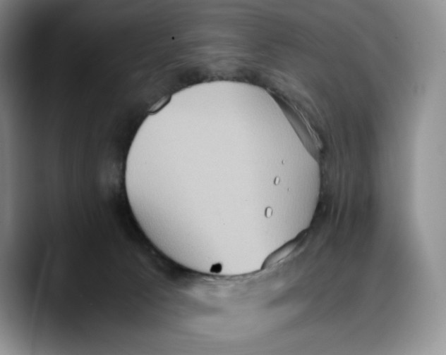 X0000089670033200707201648