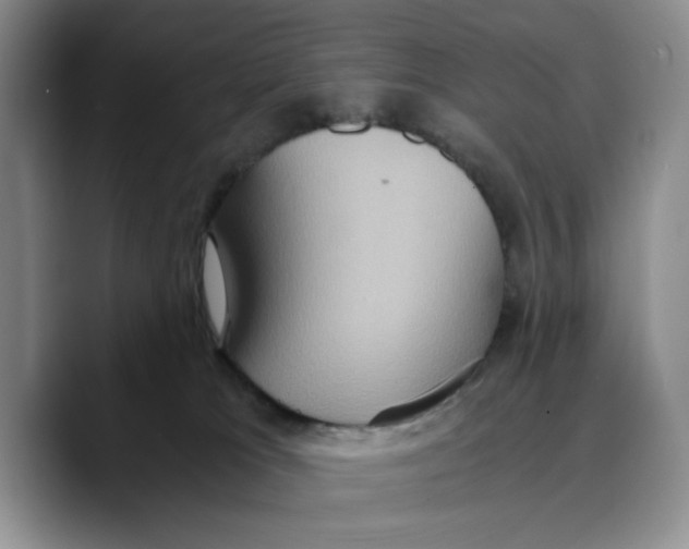 X0000089670037200707201648