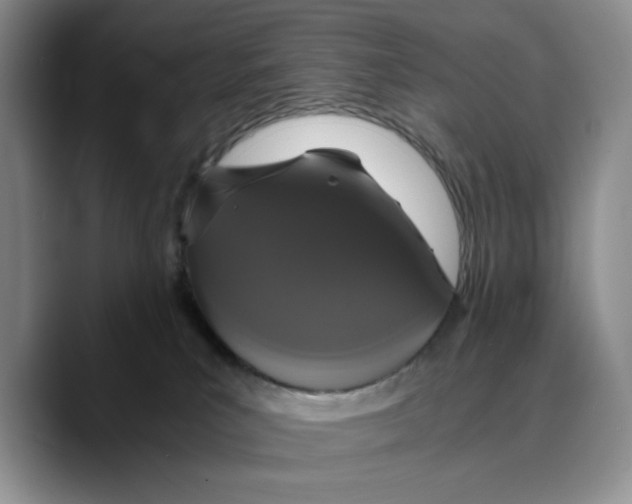 X0000089670039200707201648