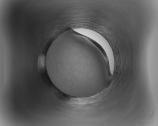 X0000089670041200707201648