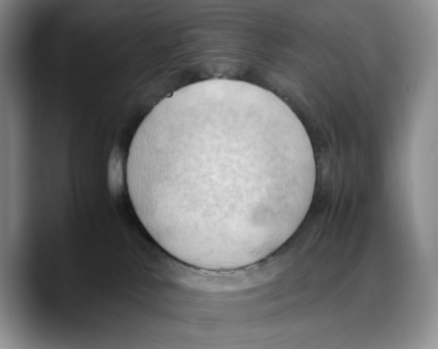 X0000089670042200707201648