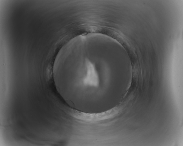 X0000089670043200707201648