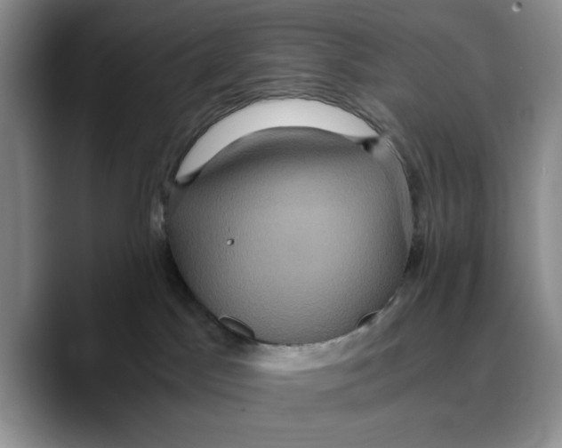X0000089670045200707201648