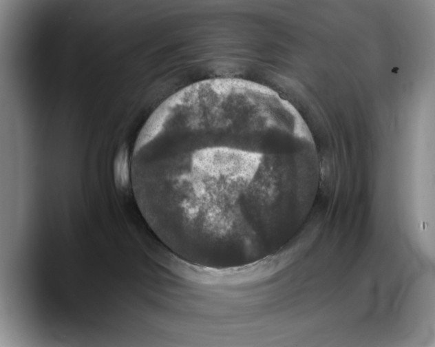 X0000089670046200707201648
