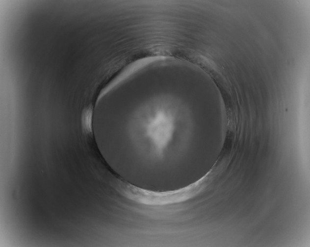 X0000089670047200707201648