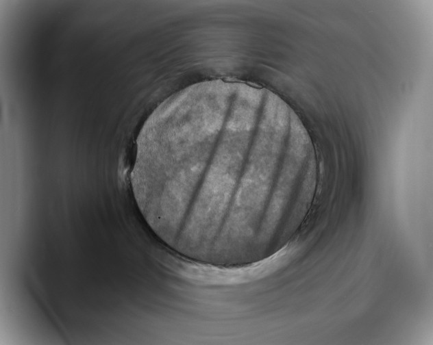 X0000089670048200707201648