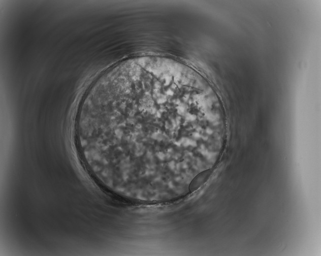X0000089670049200707201647