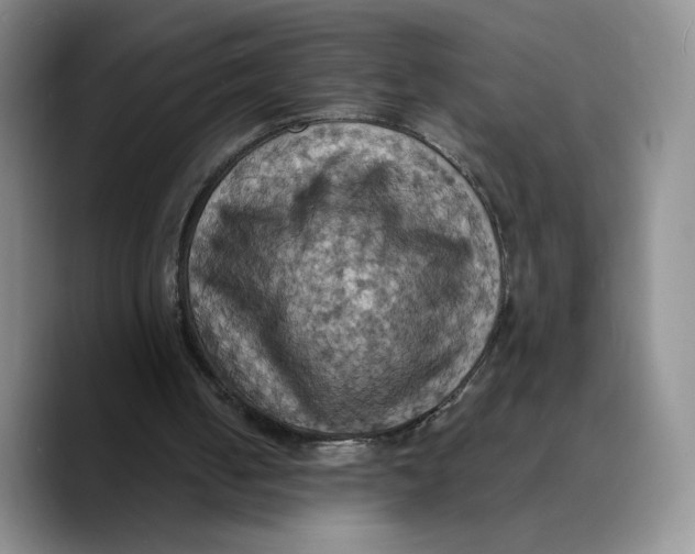 X0000089670050200707201647